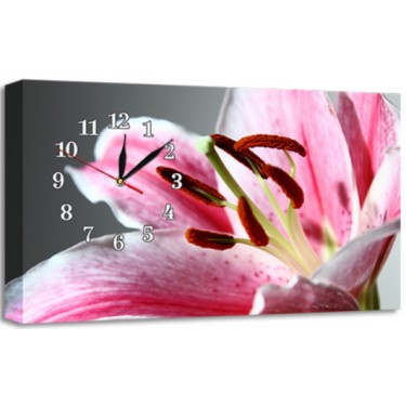 Настенные часы New Time Cl-С19 Настенные интерьерные часы New Time Cl-С19