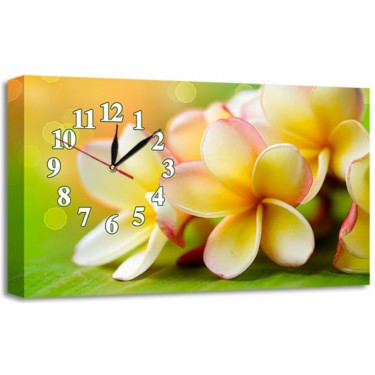 Настенные интерьерные часы New Time Cl-С209