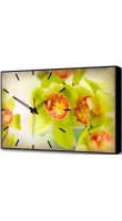 TimeBox BL-2200