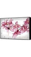 TimeBox BL-2203