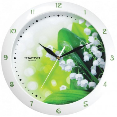 Настенные интерьерные часы Troyka 11110137