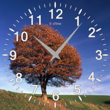 Стеклянные настенные интерьерные часы SvsTime 005-33X33-0009-05S