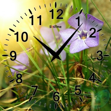 Стеклянные настенные интерьерные часы SvsTime 005-33X33-0021-05B
