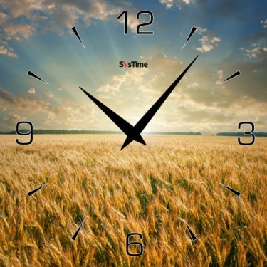 Стеклянные настенные интерьерные часы SvsTime 005-33X33-0025-03B