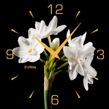 Стеклянные настенные интерьерные часы SvsTime 005-33X33-0035-03G