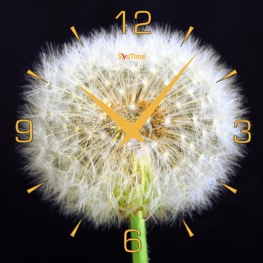 Стеклянные настенные интерьерные часы SvsTime 005-33X33-0045-03G