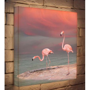 Лайтбокс для гостиной или спальни Фламинго BoxPop 45x45-022