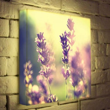Лайтбокс для гостиной или спальни Полевые цветы BoxPop 35x35-044