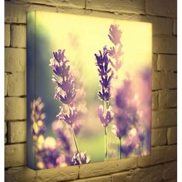 Лайтбокс для гостиной или спальни Полевые цветы BoxPop 45x45-044