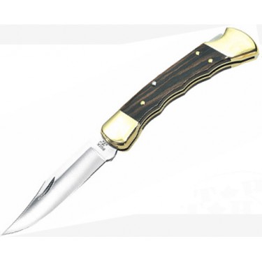 Нож складной Buck Knives B0110BRSFG
