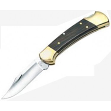Нож складной Buck Knives B0112BRS