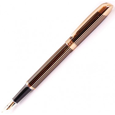 Перьевая ручка Fandini Fn302F Gold Line