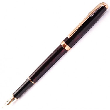 Перьевая ручка Fandini Fn308F Black