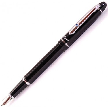 Перьевая ручка Picasso Ps608F Black