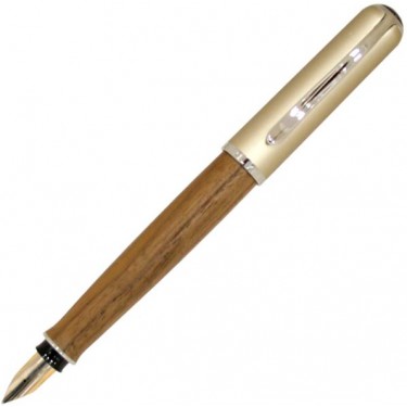 Ручка перьевая Pelikan PP949800