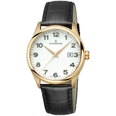 Мужские наручные часы Candino C4457.1