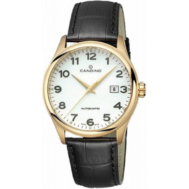 Мужские наручные часы Candino C4459.1