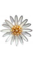 WowMan Jewelry RD164456376601