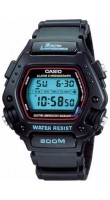 Casio DW-290-1V