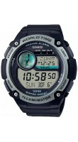 Casio CPA-100-1A