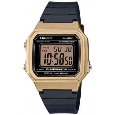 Мужские наручные часы Casio W-217HM-9A