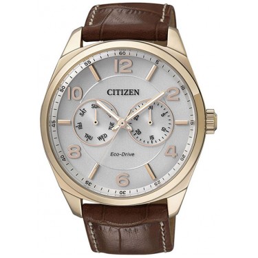 Мужские наручные часы Citizen AO9024-16A