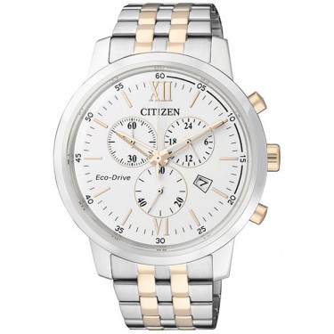 Мужские наручные часы Citizen AT2305-81A