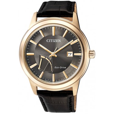 Мужские наручные часы Citizen AW7013-05H