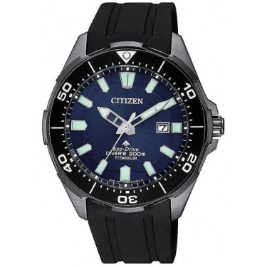 Мужские наручные часы Citizen BN0205-10L