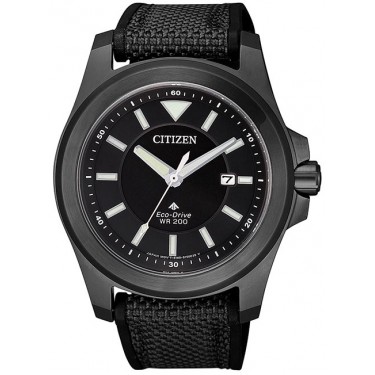 Мужские наручные часы Citizen BN0217-02E