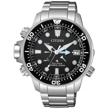 Мужские наручные часы Citizen BN2031-85E
