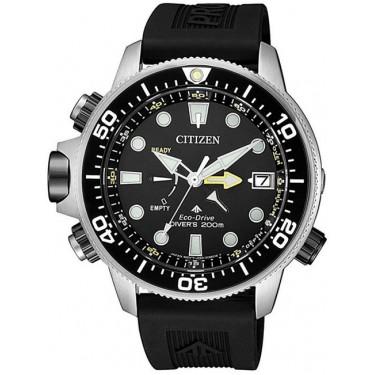 Мужские наручные часы Citizen BN2036-14E