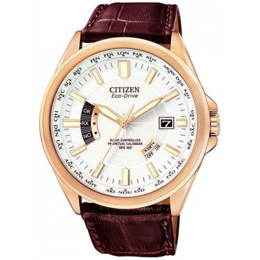 Мужские наручные часы Citizen CB0013-04A