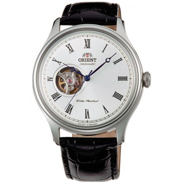 Мужские наручные часы Orient AG00003W