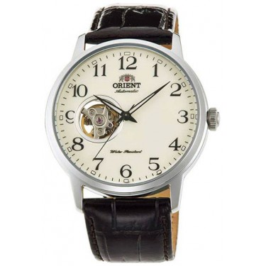 Мужские наручные часы Orient RA-AG0010S