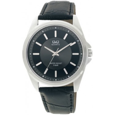 Мужские наручные часы Q&Q Q416 J302