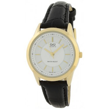 Мужские наручные часы Q&Q Q887-101