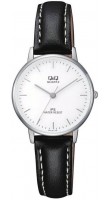 Q&Q QZ01-301