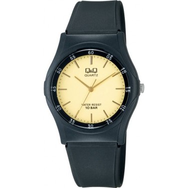 Мужские наручные часы Q&Q VQ04-001