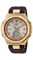 Casio MSG-B100MV-5A
