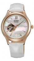 Orient DB0A002W