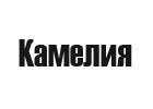 Камелия