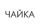 Чайка